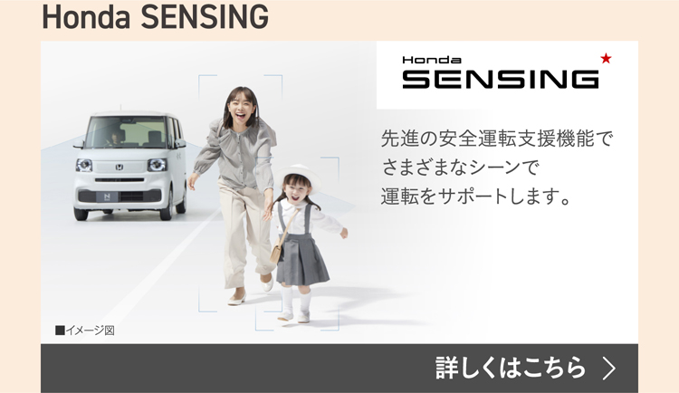 SENSING画像