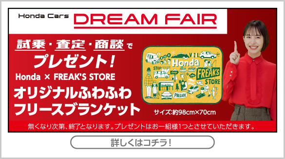 dreamfair