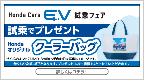 EV キャンペーン