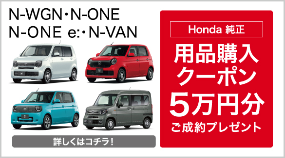 Nシリーズ キャンペーン