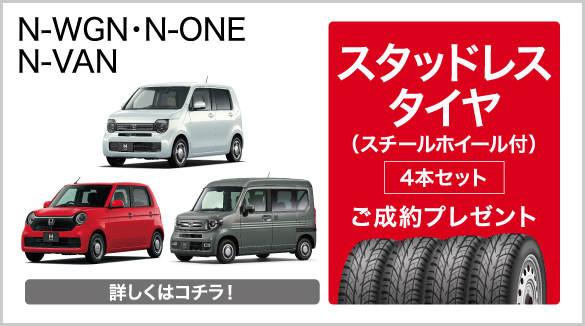 Nシリーズキャンペーン