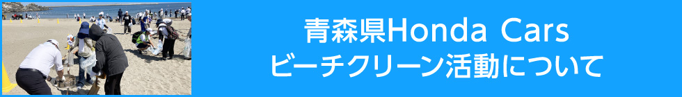 ビーチクリーン