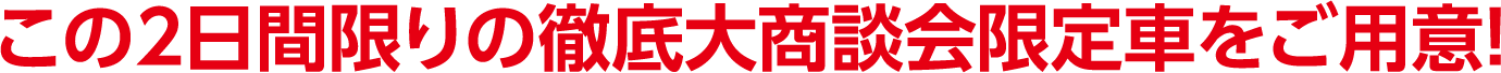 この2日限りの大商談会限定車をご用意！
