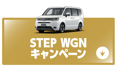 step-wgnキャンペーンボタン