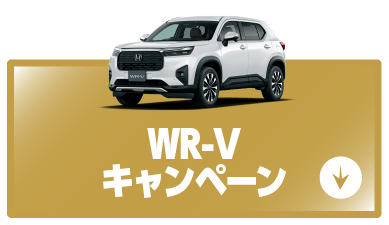 wr-vキャンペーンボタン