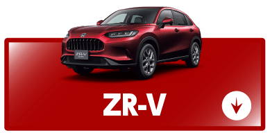 zr-vボタン