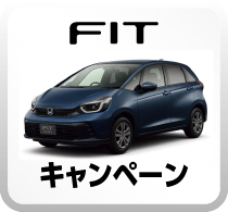 FITキャンペーンボタン