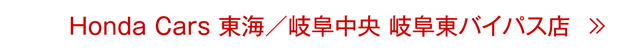 岐阜東バイパス店