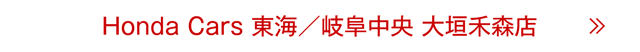 大垣禾森店