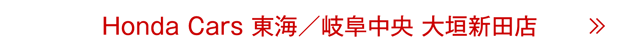 大垣新田店