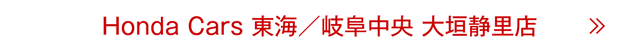 大垣静里店