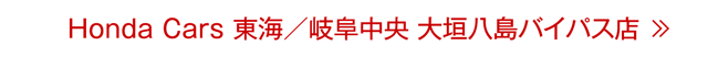 大垣八島バイパス店