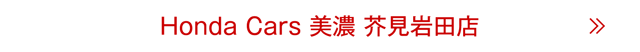 芥見岩田店