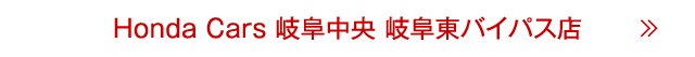 岐阜東バイパス店