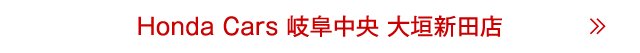 大垣新田店