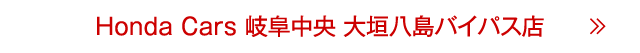 大垣八島バイパス店