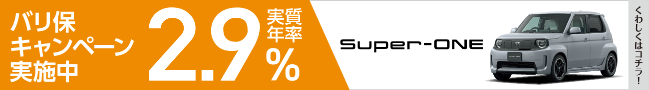 バリ保2.9%