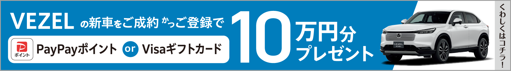 PayPayポイント or Visaギフトカード