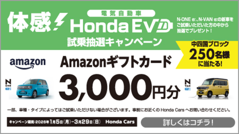 EV 試乗抽選キャンペーン