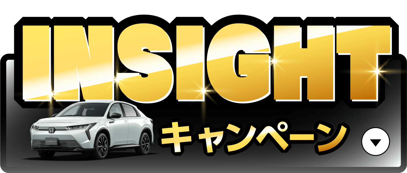 INSIGHT�L�����y�[���{�^��