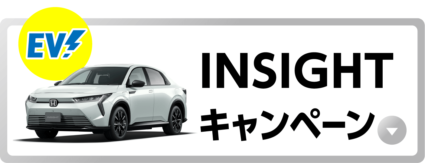INSIGHT�L�����y�[���{�^��