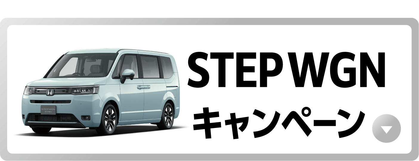STEP WGN�L�����y�[���{�^��