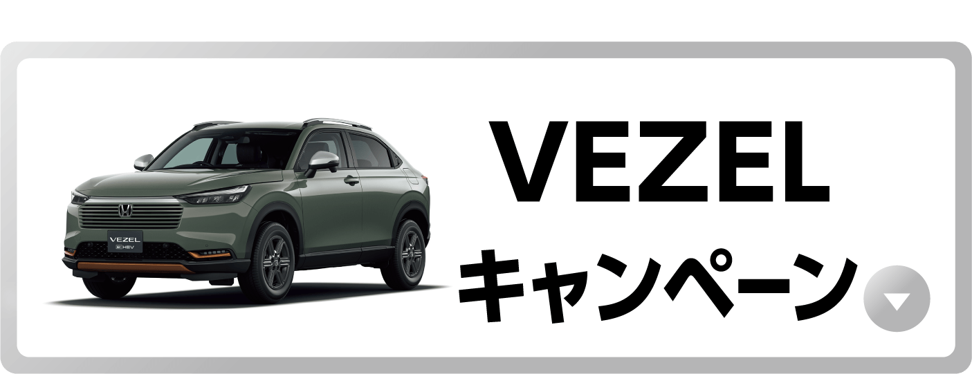 VEZEL�L�����y�[���{�^��