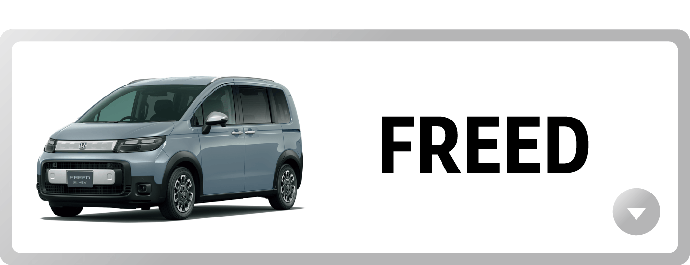 ��������[���L�����y�[�� �ΏێԎ� FREED