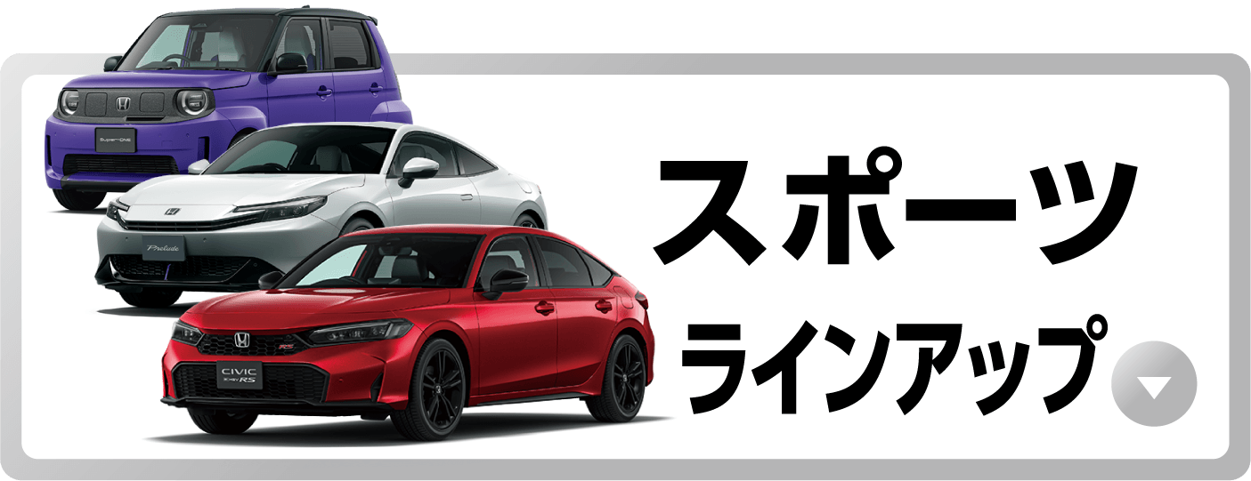 �X�|�[�c���C���A�b�v�L�����y�[���{�^��