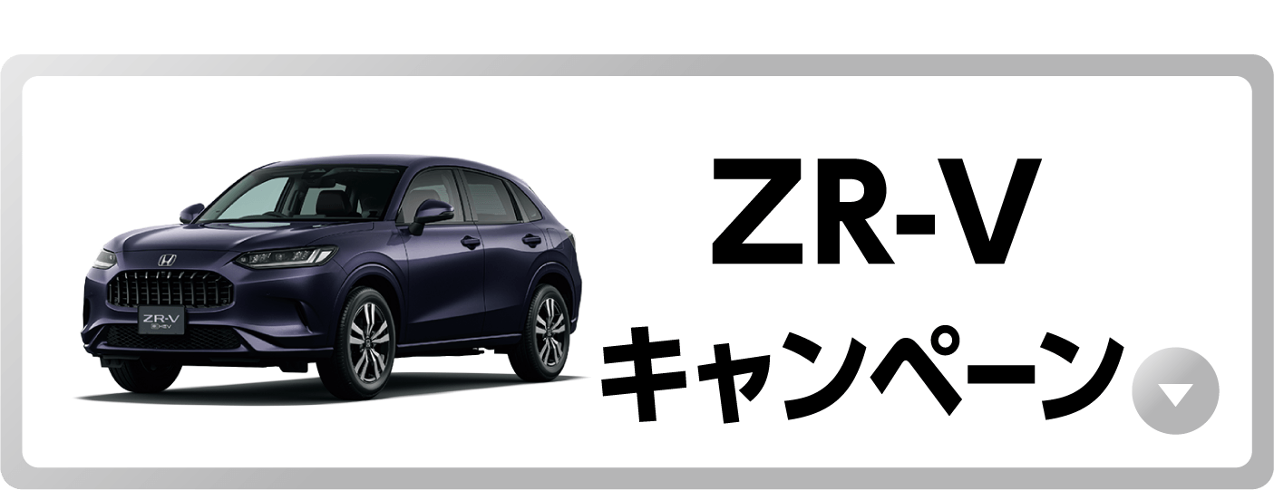 ZR-V�L�����y�[���{�^��