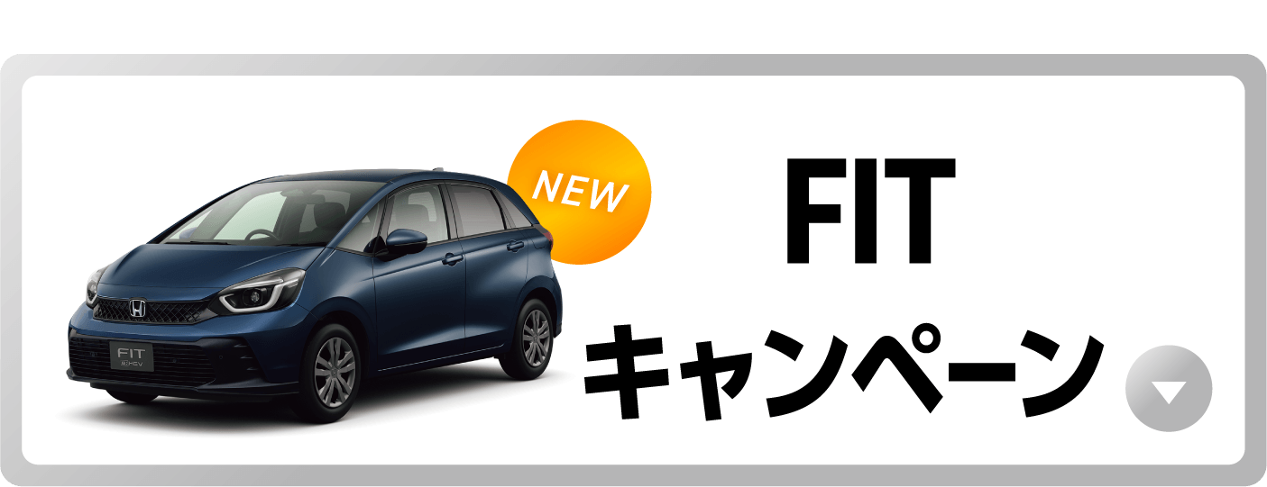 �t�B�b�g�L�����y�[���{�^��