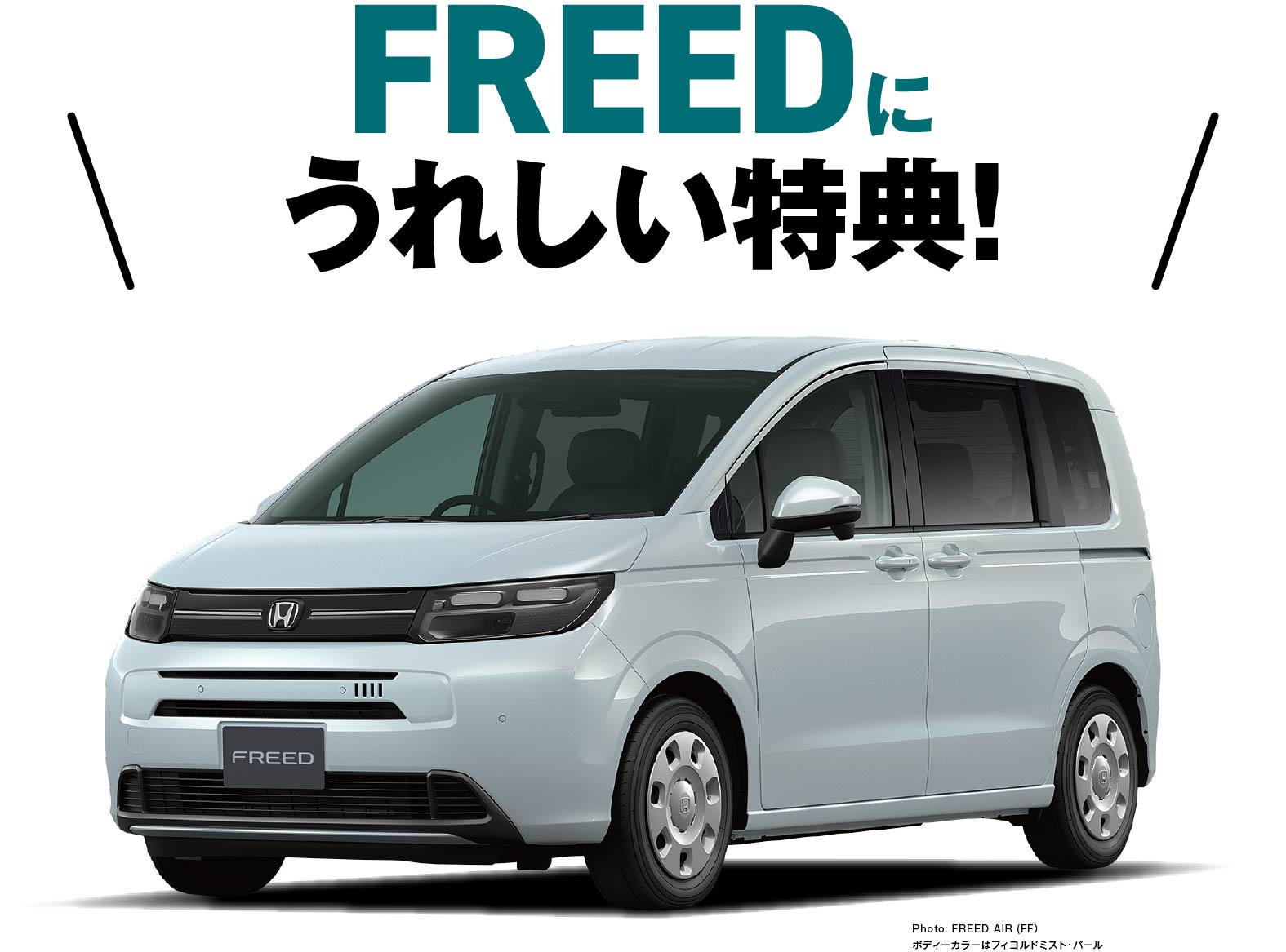 FREEDに嬉しい特典！
