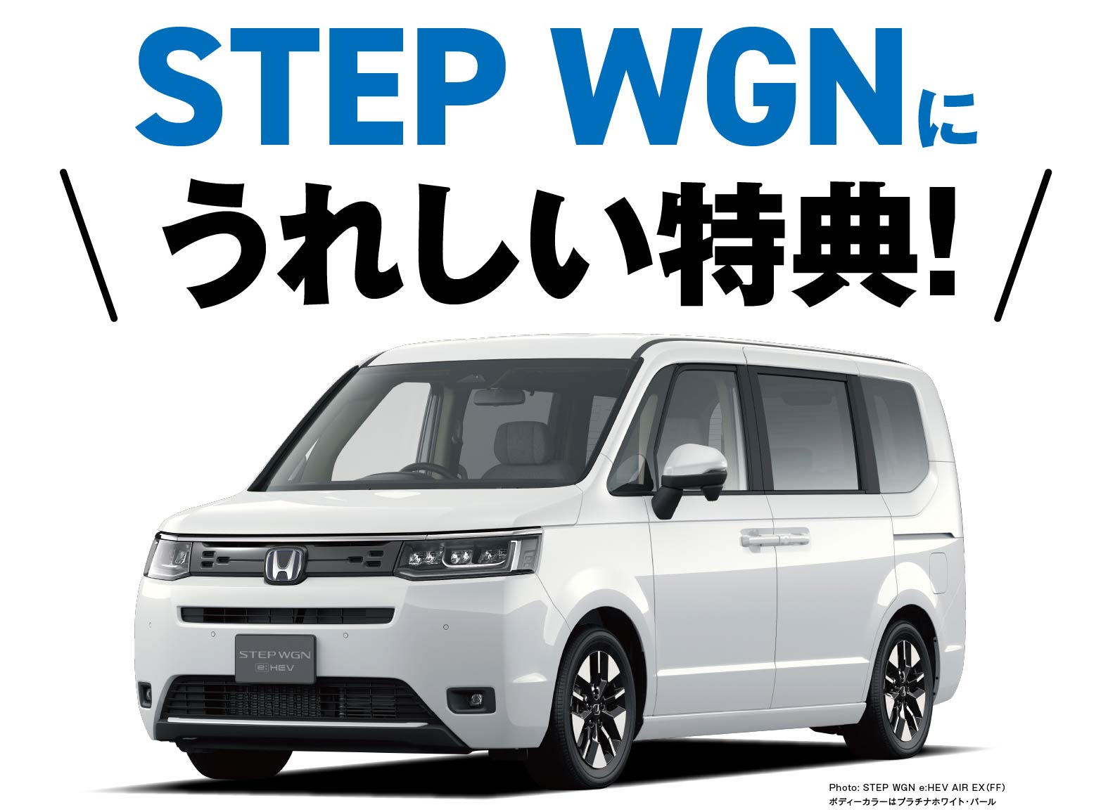 STEPWGNに嬉しい特典！