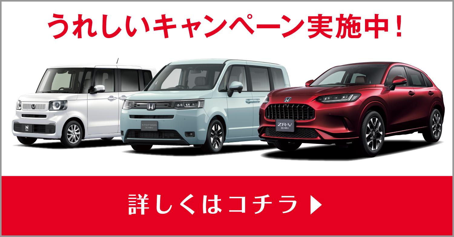 お得なキャンペーン実施中！