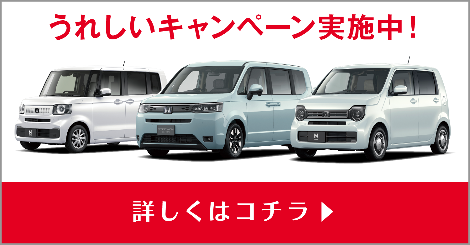 お得なキャンペーン実施中！