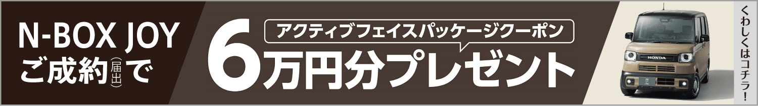 N-BOX JOY アクティブフェイスパッケージ