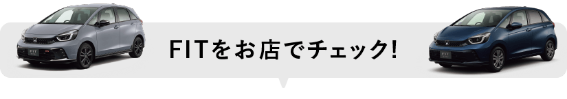 FITをお店でチェック！