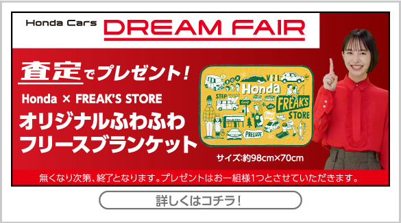 dreamfair