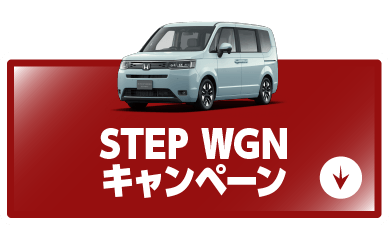 step-wgnキャンペーンボタン