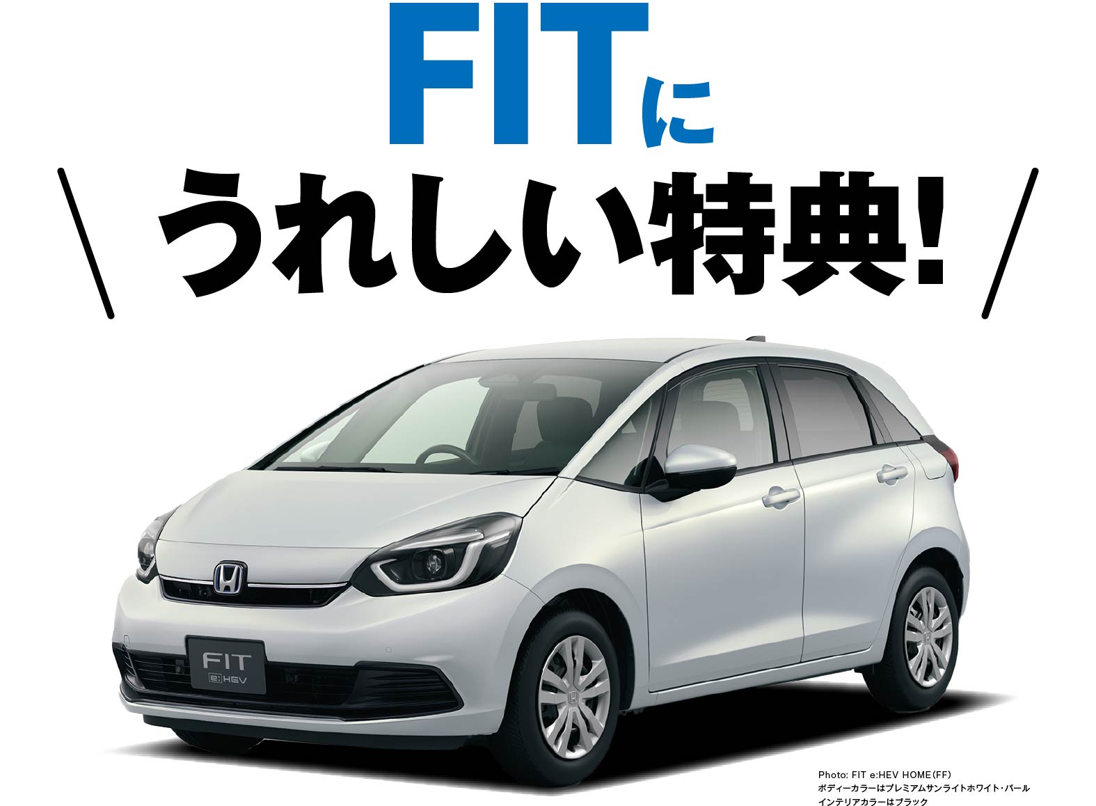 FITに嬉しい特典！