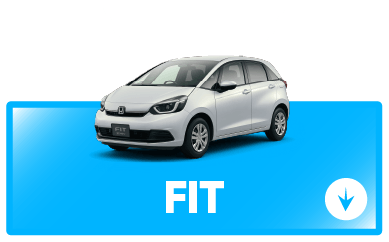 fitボタン
