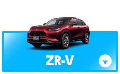 zr-vボタン