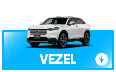 vezelボタン