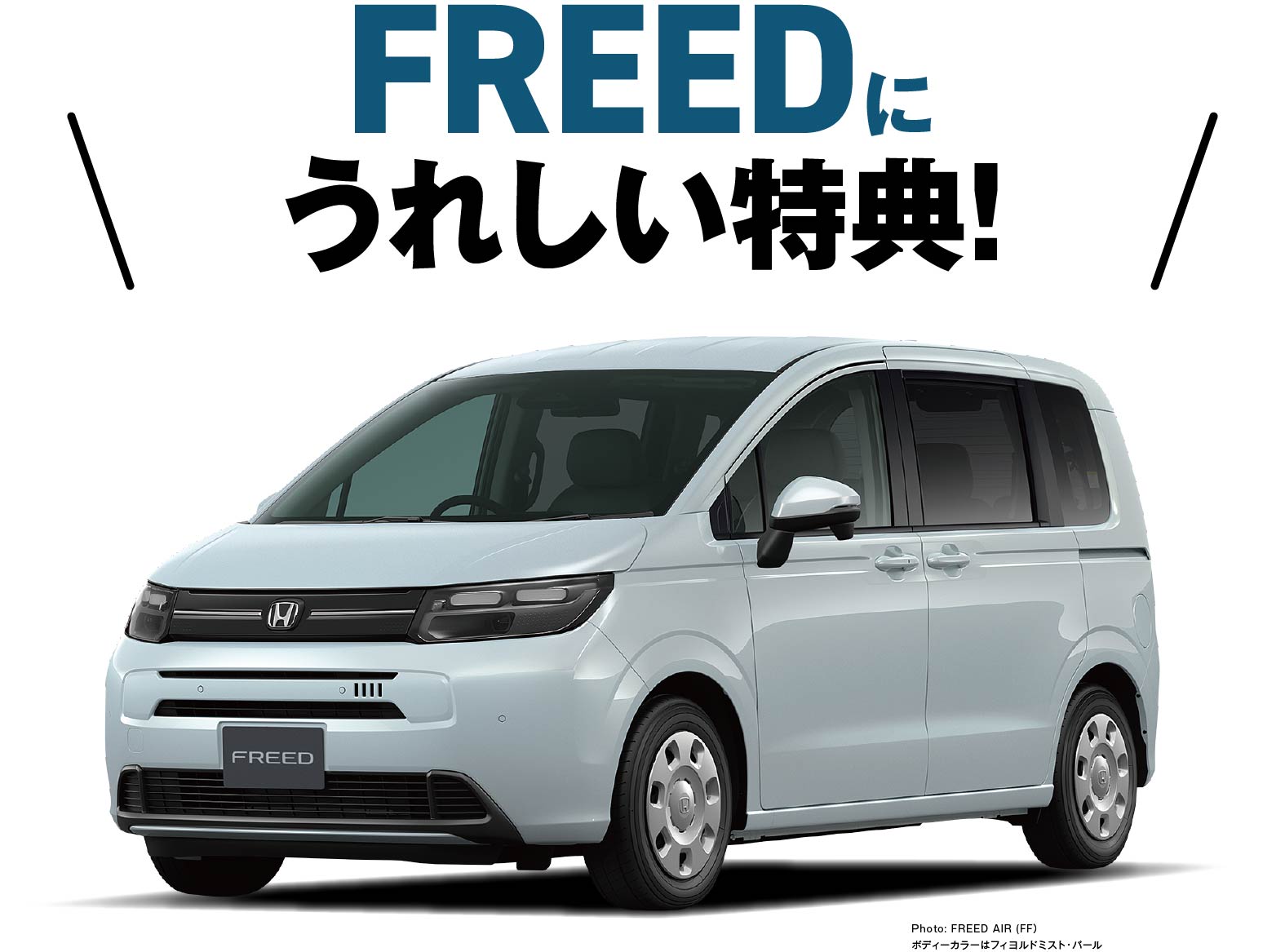 FREEDに嬉しい特典！