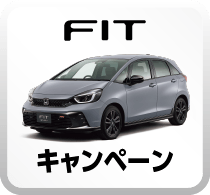 FITキャンペーンボタン