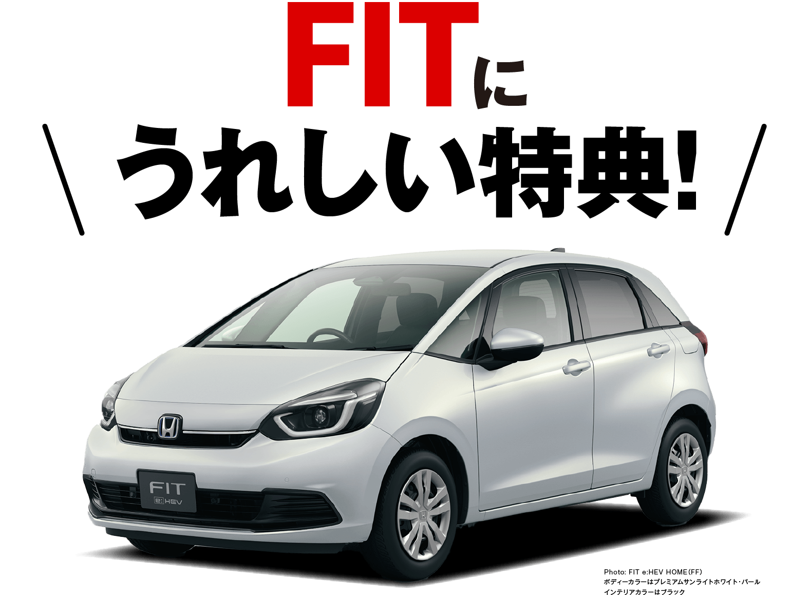 FITに嬉しい特典！