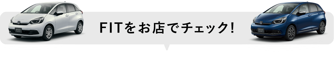 FITをお店でチェック！