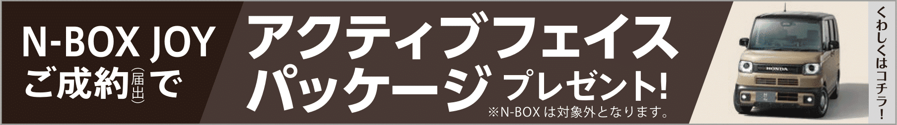 アクティブフェイスパッケージ