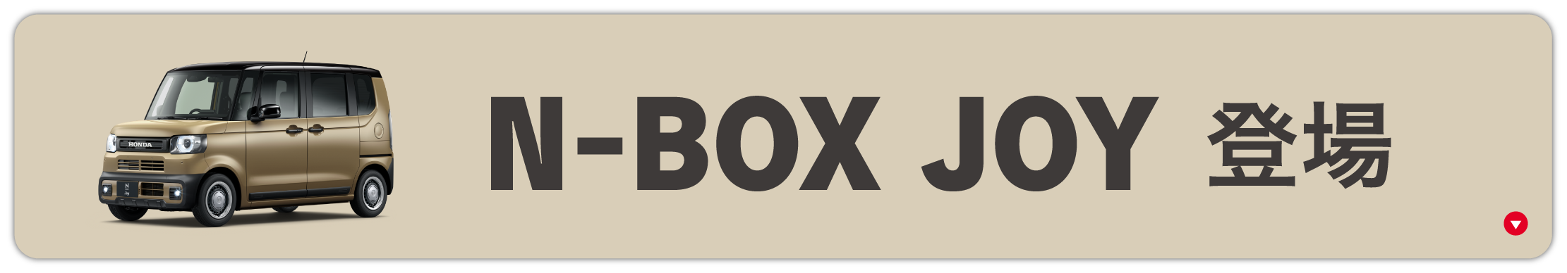 N-BOXJOY