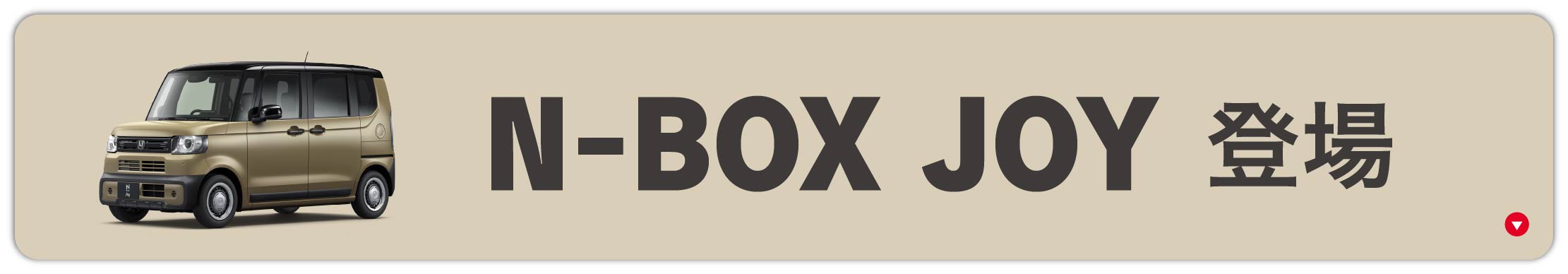 N-BOXJOY